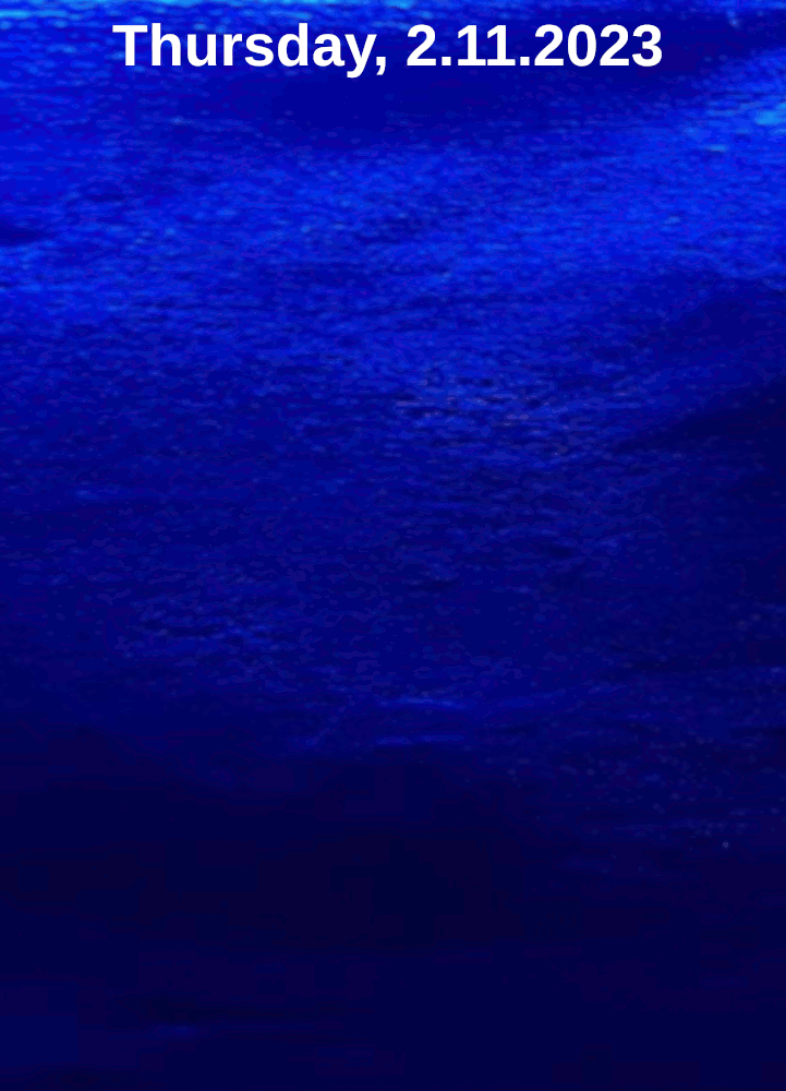 20220128 dewlaps neutral